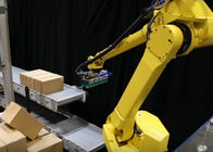 China Sistema Palletizing do robô/máquina automática de Palletizer para o empilhamento dos materiais de folha empresa