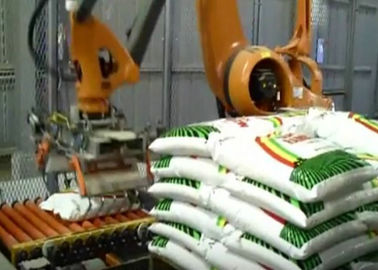 China Sistema Palletizing do robô da carga útil de 180 quilogramas/escala robótico 2800mm-3150mm do movimento de Palletiser fábrica